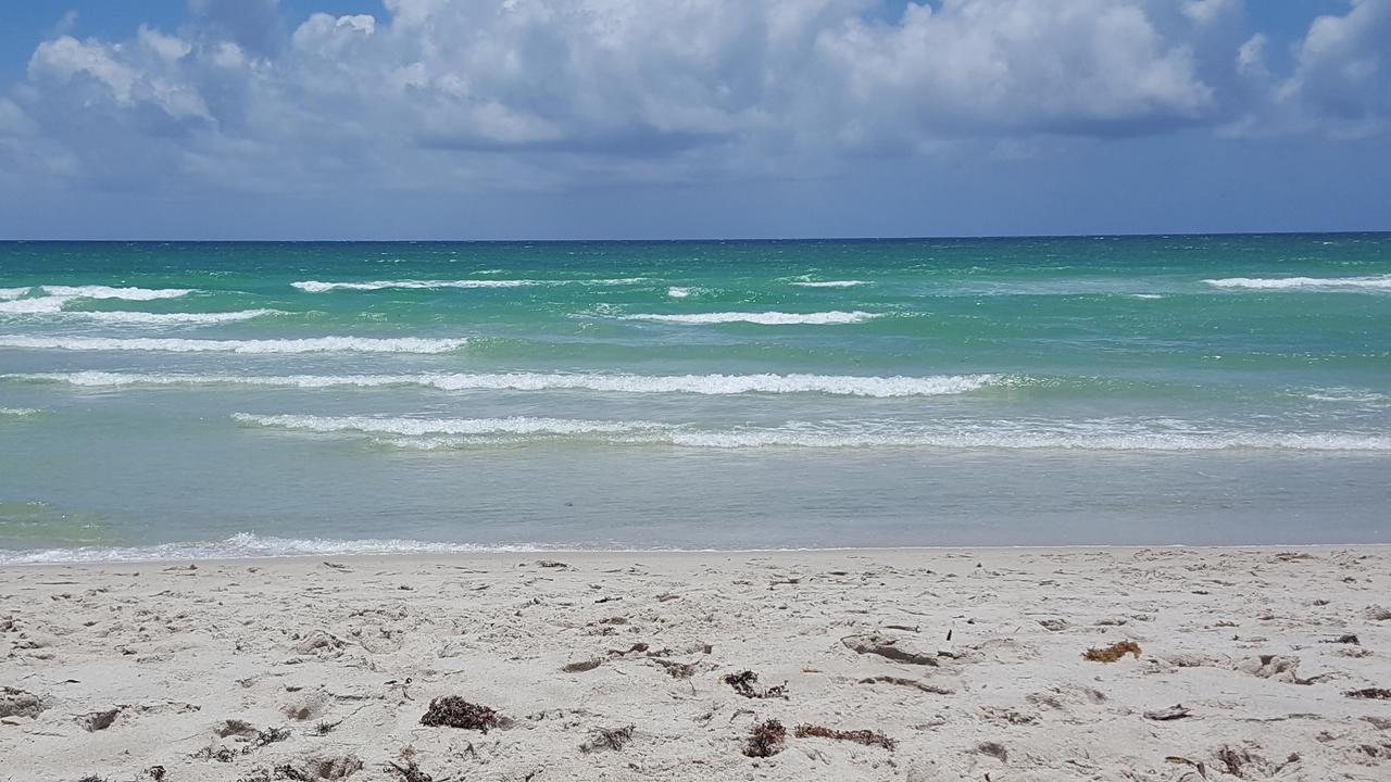2 Bedroom 2 Bath Beachfront Condo On Miami Beach Millionaire Row ภายนอก รูปภาพ